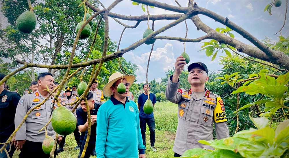 Inisiasi Kebun Perubahan BBM