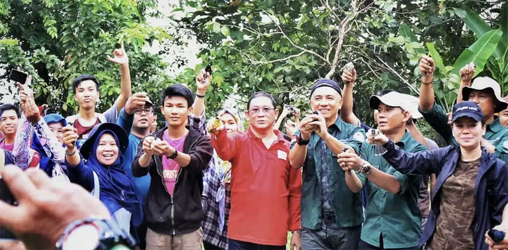 Pelestarian Hutan