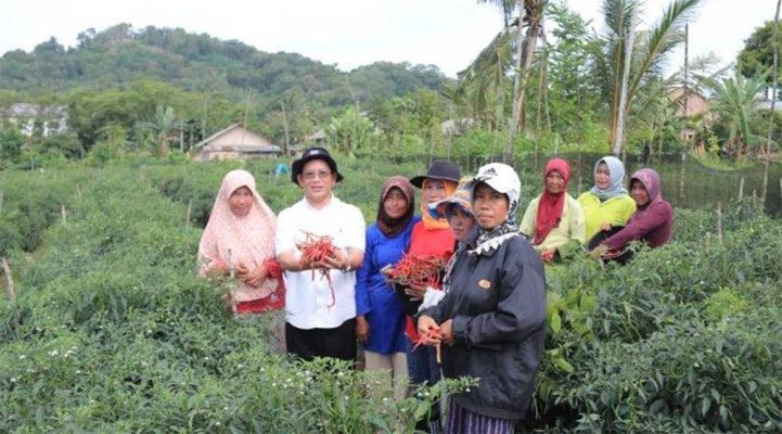 Pembinaan Petani