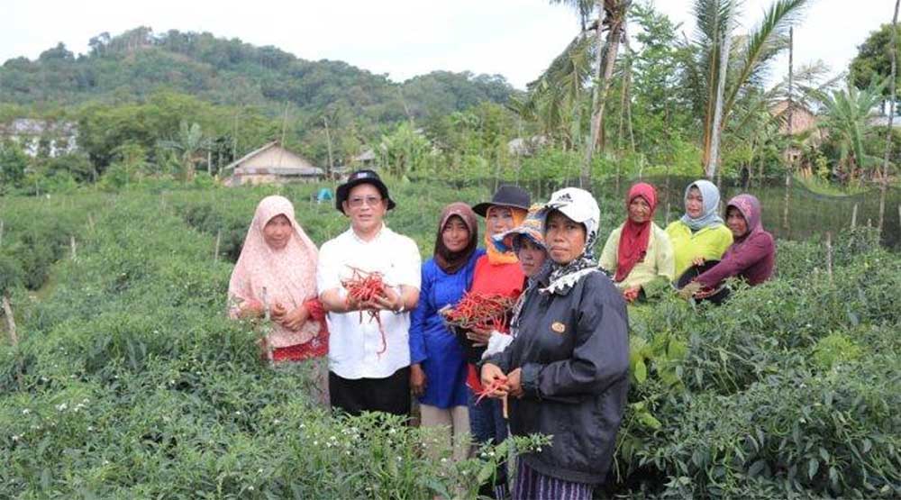 Pembinaan Petani