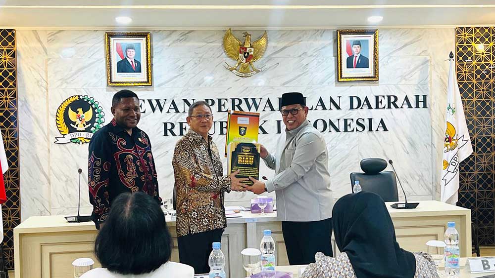 Penguatan Tata Kelola Daerah di Bangka Belitung