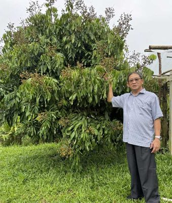 kebun bahar