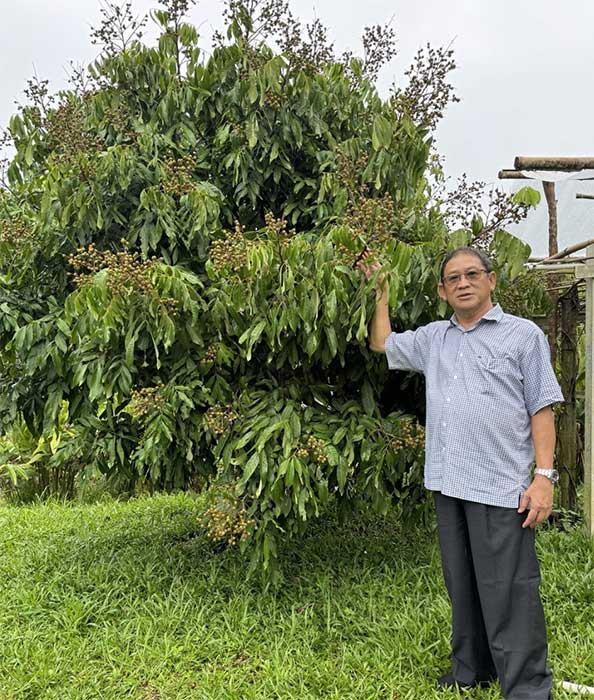 kebun bahar
