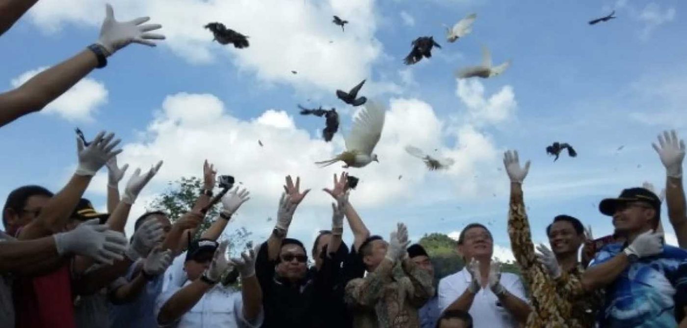 yayasan gunung mangkol lestari